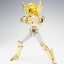 Saint Seiya Saint Cloth Myth Cygnus Hyoga Power of Gold by Bandai