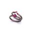 PRE-ORDER : Kamen Rider Zero-One Horobi & Jin Parent-Child Bond Ring Set