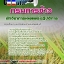 6242B01แนวข้อสอบ นักวิชาการเผยแพร่ปฏิบัติการ กรมการข้าว
