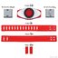 Legend Rider Henshin Belt Series - Transform Belt Typhoon by Bandai