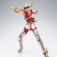 Saint Seiya Saint Cloth Myth PEGASUS SEIYA FIRST BRONZE CLOTH (REVIVAL VER) by Bandai