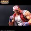 Pre-order : The King Of Collectors '24 EX Geese Howard / Terry Bogard (HG Damage Ver.) by STUDIO24