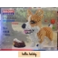 Balody 16043 Corgi 1380pcs
