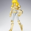 Saint Seiya Saint Cloth Myth Cygnus Hyoga Power of Gold by Bandai
