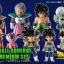 PRE-ORDER : Dragon Ball Adverge Broly Premium Set