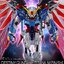PRE-ORDER : RG 1/144 Destiny Gundam [Titanium Finish] [Resale]