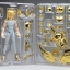 Saint Seiya Saint Cloth Myth Cygnus Hyoga Power of Gold by Bandai