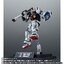 PRE-ORDER : [Event Commemorative Item/Pre-CTM Lottery] ROBOT SPIRITS＜SIDE MS＞ RX-178 Gundam Mk-II (Ego spec.) ver. A.N.I.M.E.-40th anniversary of Z Gundam