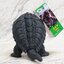 Godzilla - Movie Monster Series - Gamera (1995) 6” by Bandai
