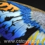 Godzilla - Movie Monster EX : Rainbow Mothra by Bandai