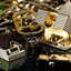 Gold Lightan Model Kit (with Alloy Parts) by Shohoriku Limited