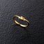 PRE-ORDER : Tensou Sentai Goseiger -COMBINATION RING- Triple Ring