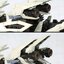 Pre-order : 1/72 Zoids: RZ-041 LIGER ZERO Marking Plus Ver. Plastic Model Kit by Kotobukiya (Reissue)