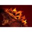PRE-ORDER : UA Monsters Burning Godzilla 2019 (GODZILLA II)