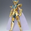 Saint Seiya Saint Cloth Myth Aquarius Camus by Bandai