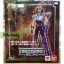 Saint Seiya Saint Cloth Myth EX Phoenix Ikki (New Bronze Cloth) by Bandai