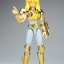 Saint Seiya Saint Cloth Myth Cygnus Hyoga Power of Gold by Bandai