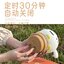 โคมไฟชินจัง - Crayon Shinchan Shiro Potted LED Night Light Lamp by QZoo