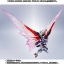 PRE-ORDER : METAL ROBOT SPIRITS ＜SIDE MS＞WING OF LIGHT＆EFFECT SET For DESTINY GUNDAM