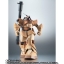 PRE-ORDER : ROBOT SPIRIT SIDE MS YMS-09D DOM TROPICAL TEST TYPE VER. A.N.I.M.E.