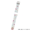 PRE-ORDER : Crayon Shin-chan x Smart Canvas Watch Belt