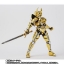 PRE-ORDER : S.H.FIGUARTS (SHINKOCCOU SEIHOU) GOLDEN KNIGHT GARO (SAEJIMA RAIGA)
