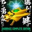 King of Braves Gaogaigar - GaoBrace COMPLETE EDITION by Premium Bandai (Limited มีกล่องน้ำตาล)