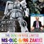PRE-ORDER : HG 1/144 The Gundam Base Limited Zaku II TYPE C-6/R6 [Painting Model] Plastic Model